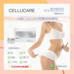 Cellucare消脂療程